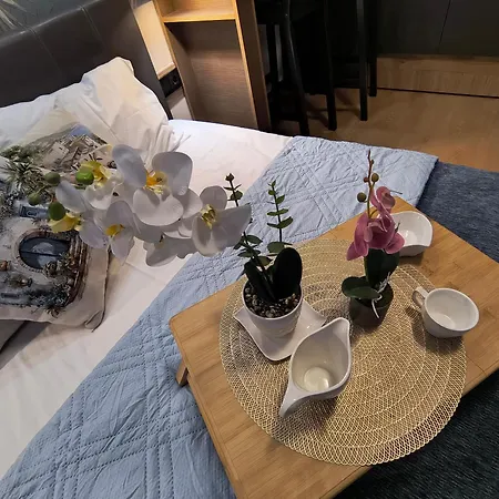 Slavi Exselsior, Sunny Appartement